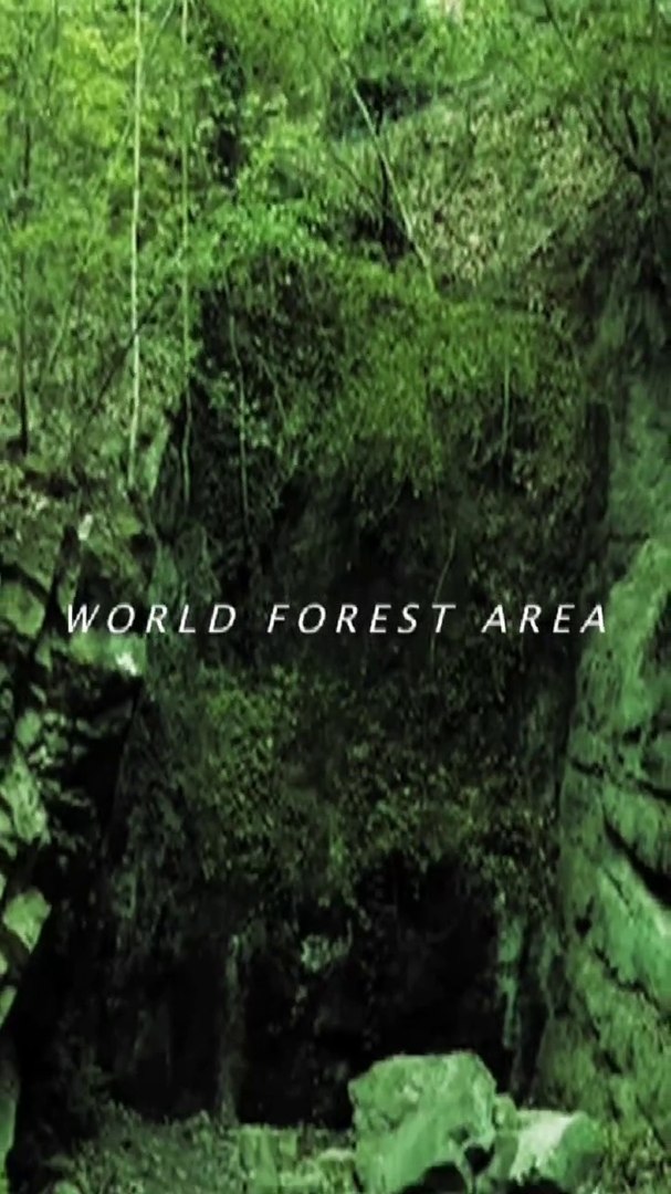 ⁣Forest cover __ World Forest & Pakistan Forest Cover.....