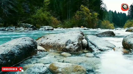 Sure Yaseen Full |Beutiful Recitation |By Abdul Wahab Chank| |VIQARISHAQ