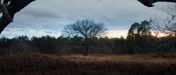 HIDDEN | cinematic short film | Beautiful Short Movie | Family Entertainment |