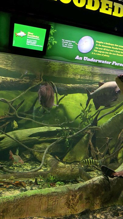 New York Aquarium Coney Island