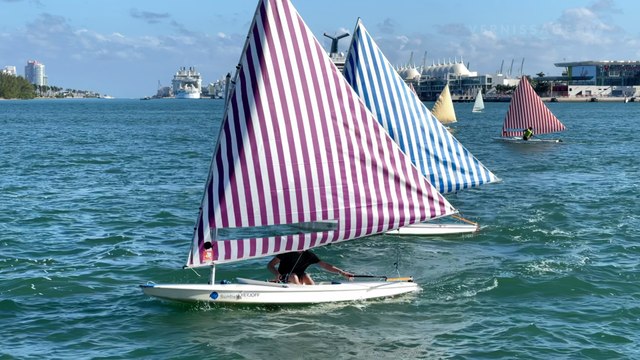 Daniel Buren: Voile/Toile - Toile/Voile / Art&Newport at Pérez Art Museum Miami