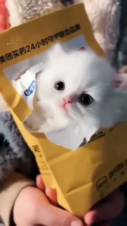 SO SWEET 💗💗