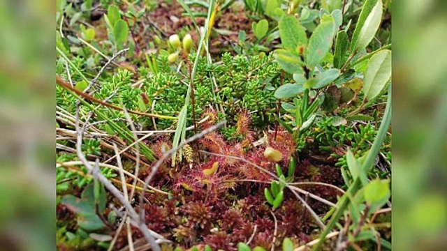 CH 09 Dec TOPO Aires protegees Charlevoix