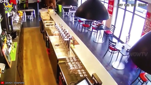 When Animals Go On A Rampage And Got Caught On Camera | Funny Animal Videos | Funny Moments of Animals | Hilarious Pets Videos | Cats and Dogs Funny Videos | Family Entertainment | Fun Time |