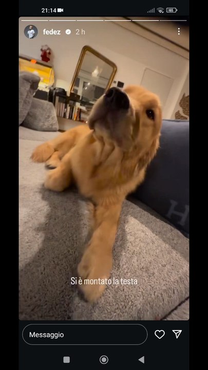si e' montato la testa silvio