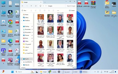 شاشه البيانات الوظيفيه الجديده