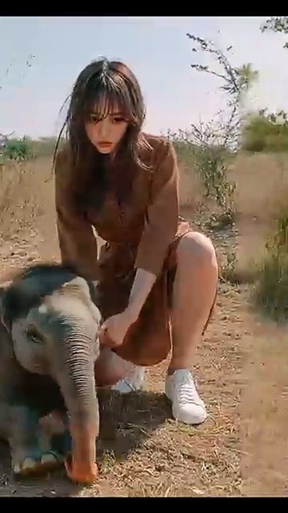 beauty plays with an elephant