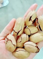 aed53beda8cf0868f3f11585e0037b4e