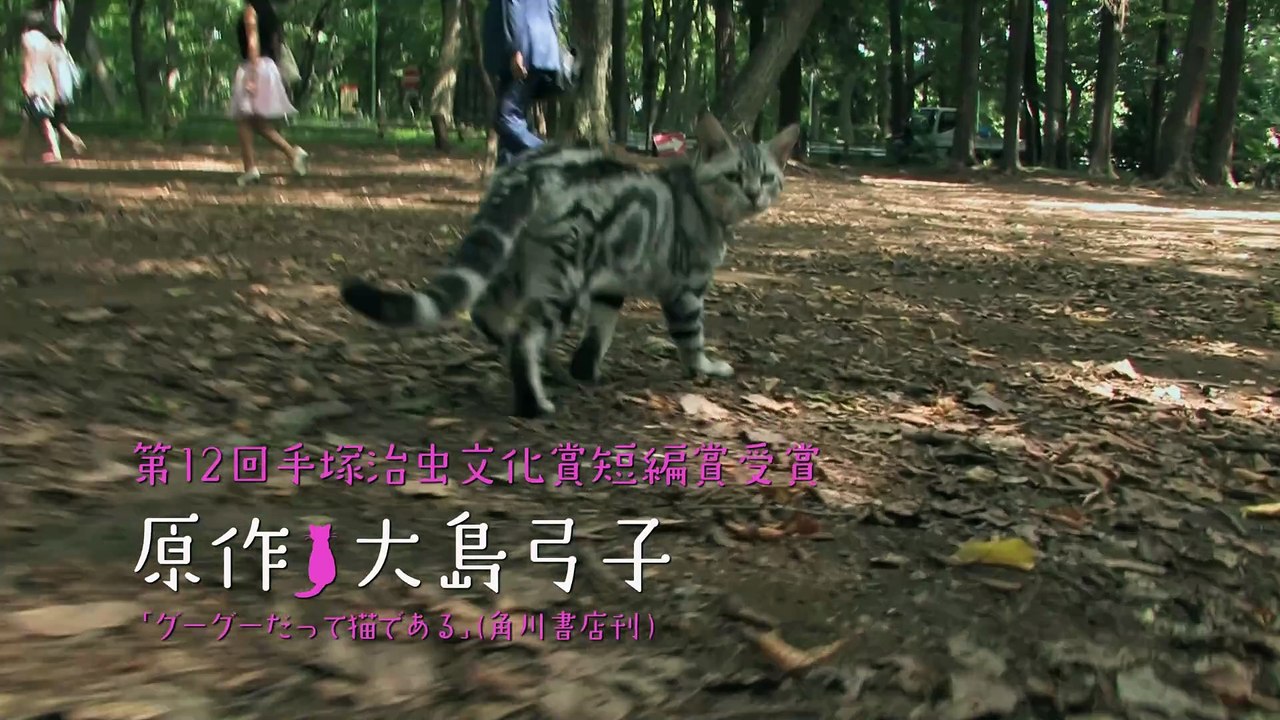 Gu Gu, the Cat | movie | 2008 | Official Trailer