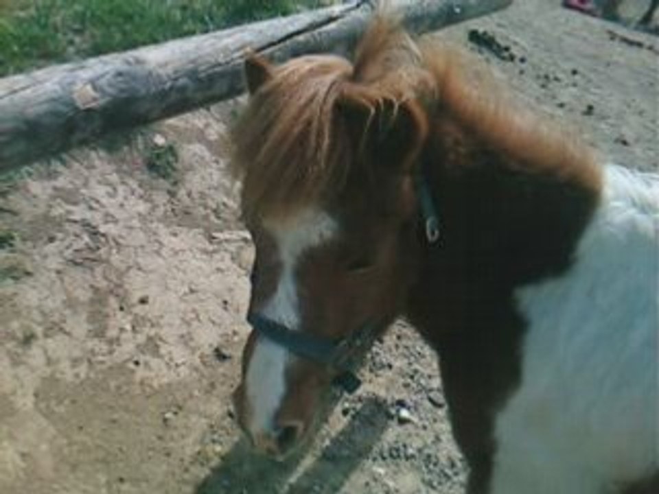NoiiSette x