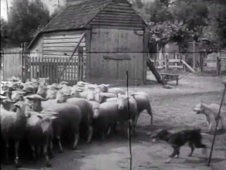 Les Chiens et ses services (1907) The Dog and His Various Merits (Pathé)