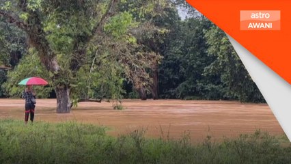 Gelombang kedua landa Gua Musang