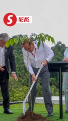 Malaysia hits target of planting 100 million trees ahead of schedule