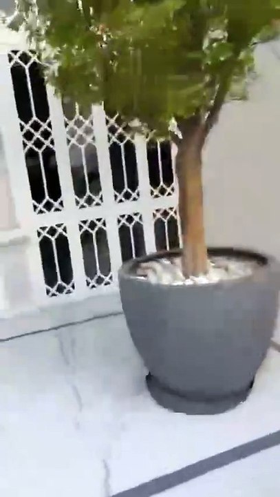 Rebels in Damascus take control of Bashar al-Assad's presidential palace