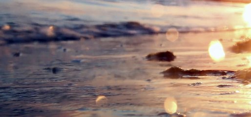 Assistir Navio dos Amaldiçoados Online em HD