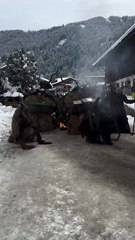 Celebrate with the Best Short Video Music Bands! 🎶