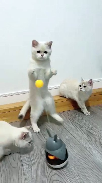Satisfying