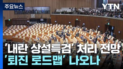 '내란 상설특검' 처리 전망...여, '퇴진 로드맵' 이르면 오늘 발표 / YTN