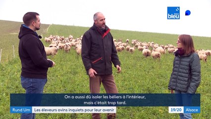 Suivi de la Fièvre Catharrale Ovine avec Rund Um