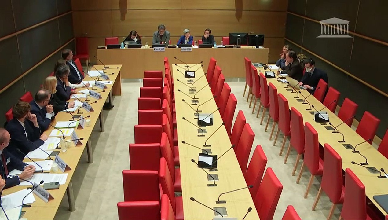 Violences commises dans les secteurs artistiques et médiatiques : Table ronde réunissant des représentants du secteur audiovisuel - Lundi 9 décembre 2024