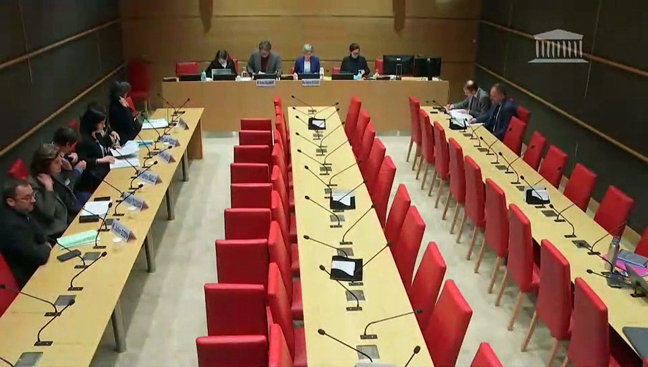 Violences commises dans les secteurs artistiques et médiatiques : Audition de représentants du groupe TF1 - Lundi 9 décembre 2024