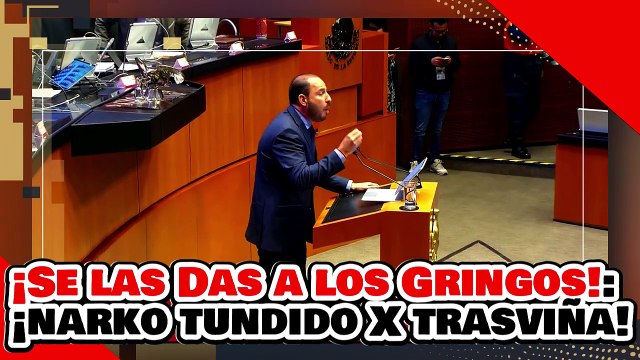 ¡Se las das a los gringos!: ¡’Narko’ Cortés es hecho añicos por Lucía Trasviña por atacar a la 4T!
