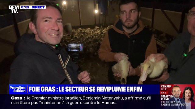 Foie gras: le secteur se remplume