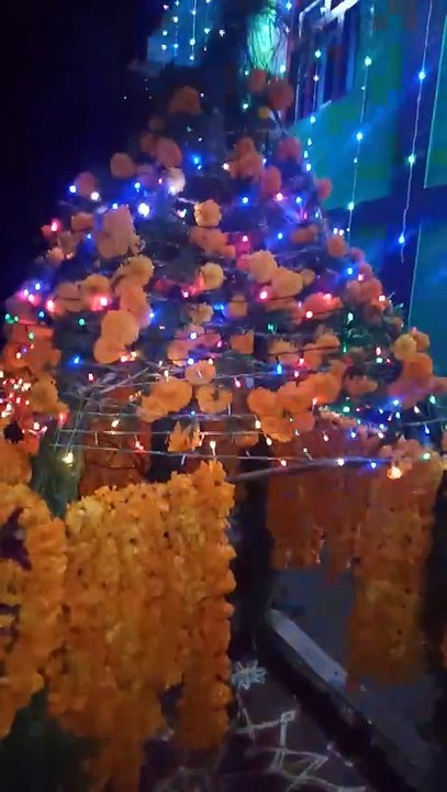 VID20241107180549