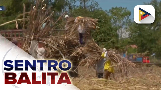 Pagtulong sa sugar cane farmers sa Negros Occidental na apektado ng pagsabog ng Bulkang Kanlaon, tinututukan ng SRA