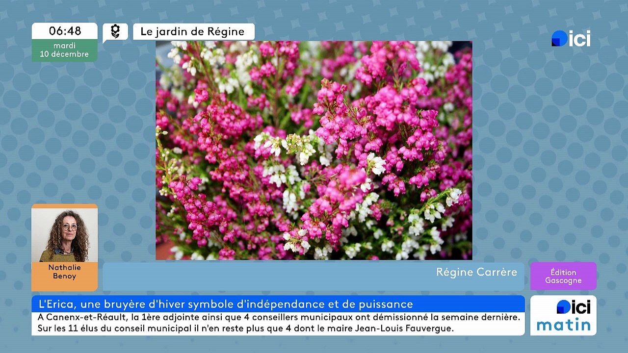 10/12/2024 - ICI Matin France Bleu Gascogne en vidéo