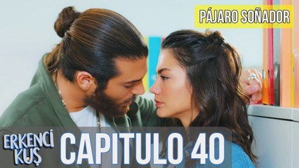 Pájaro soñador - Capitulo 40 (Audio Español) - Erkenci Kuş