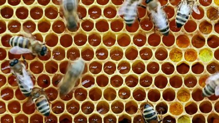 Google, yeni kuantum çipi 'Willow'u tanıttı