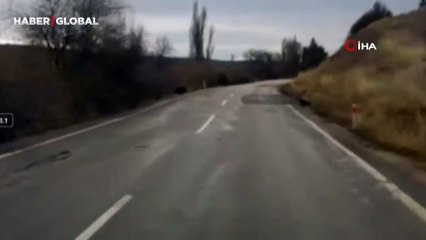 Sürücünü domuza çarpmamak için son anda fren yaptı, ortaya bu görüntü çıktı!
