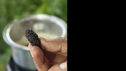 Mulberry Coconut balls _  Healthy energy balls without sugar