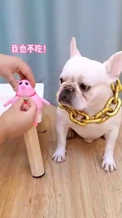 #funnyvideo #funnyvideos #memes #funnymemes #meme #comedy #funnymeme #tiktok #fun #funnyshit #memesdaily #lol #dankmemes #video #viral #funnyvids #like #humor #comedyvideos #funnyposts #follow #jokes #funnyvid #trending #funnyclips #lovEnteritermentWorld