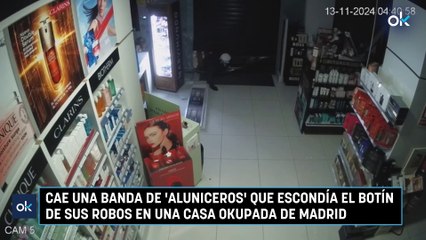 Cae una banda de 'aluniceros' que escondía el botín de sus robos en una casa okupada de Madrid