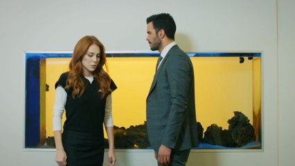 Love For Rent - Episode 67 (Urdu Dubbed) | Kiralik Ask