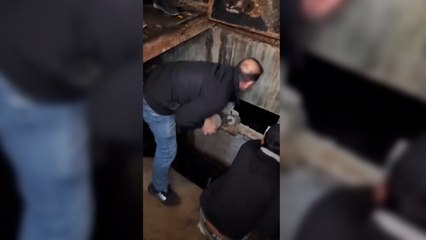 En el “matadero humano” de Sednaya, la cárcel secreta de Asad