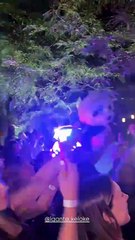 Cumple de Wanda Nara - Lgante cantando