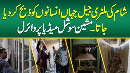 Syria Ki Military Jail Jaha Insanon Machine Me Dal Kar Zibah Kiya Jata - Holnak Stories Samne Aa Gai
