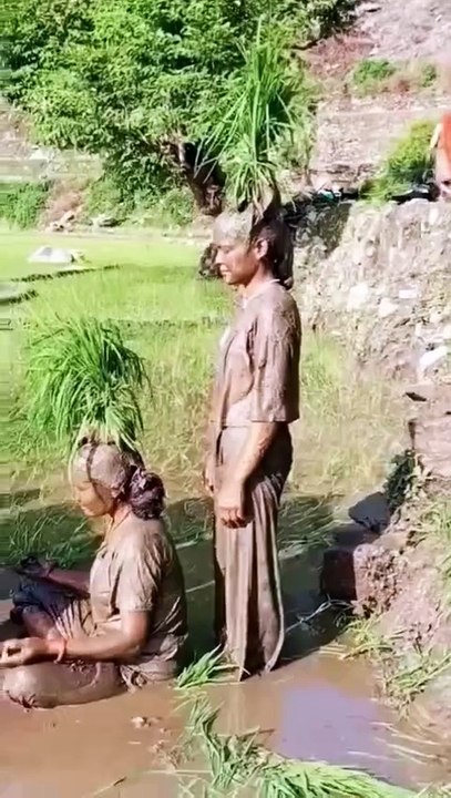 Viral video