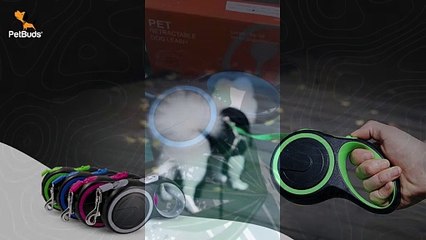 Heavy-Duty Retractable Dog Leash UK | Chew-Resistant, Stylish, Durable, & Safe Walking Gear