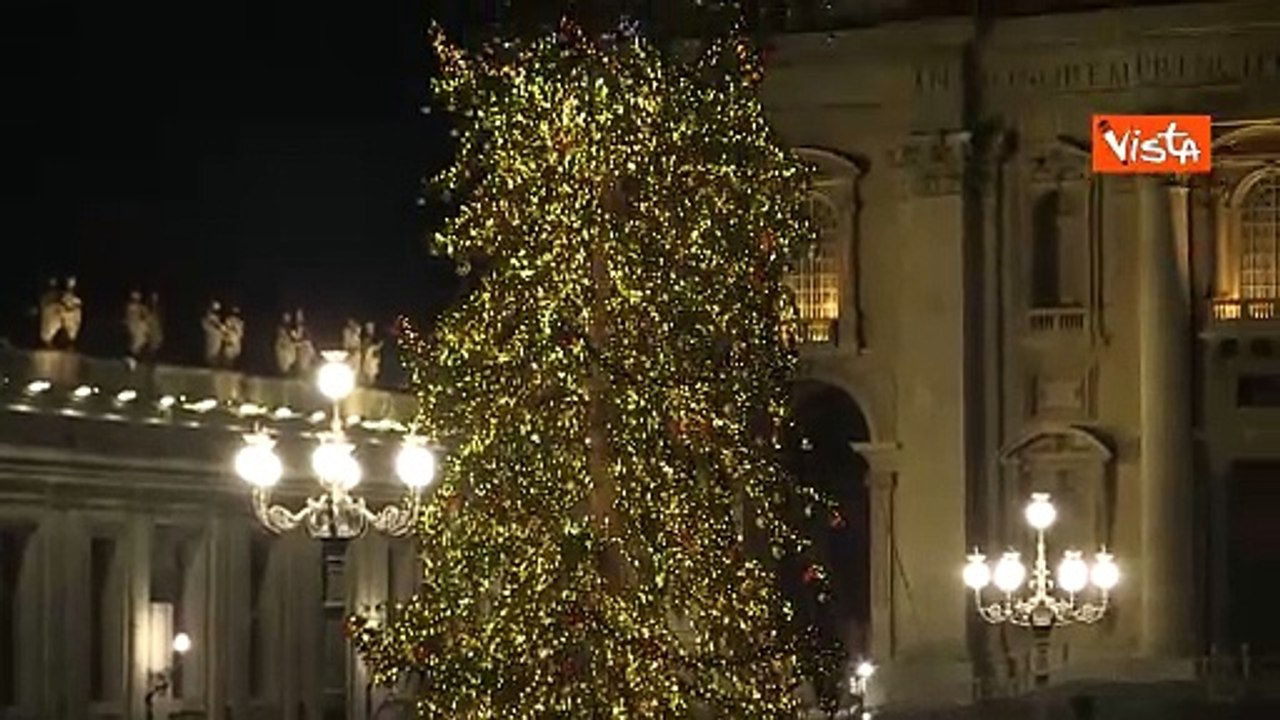 Natale 2024, l'albero della Citt? del Vaticano in Piazza San Pietro