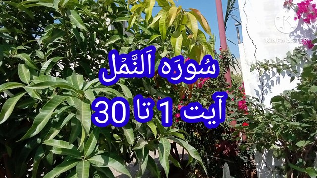 Surah An Naml | quran pak ki tilawat | quran recitation | bubak learn quran |