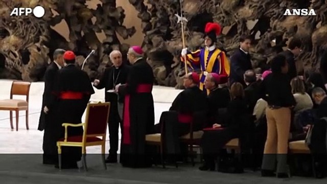 Il Papa in udienza generale: Auspico stabilita' e pace per la Siria