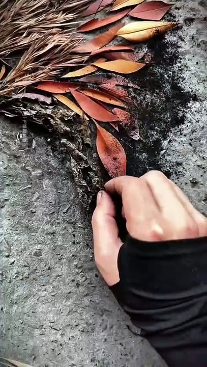 Seni dari daun kering