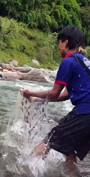 Cast Netting in Small River of Nepal | Himalayan Trout Fishing |