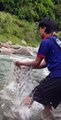 Cast Netting in Small River of Nepal | Himalayan Trout Fishing |