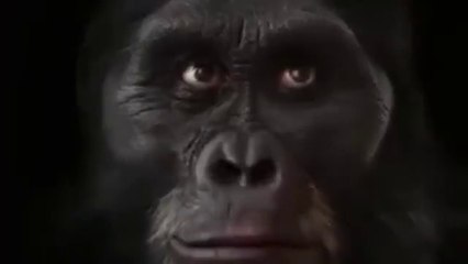 حضرت داود کی قوم بندر کیسے بنی۔؟  How did the people of Hazrat Dawood(as) become monkey.?