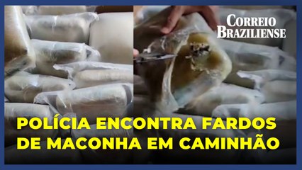 Caminhão alvo de criminosos levava fardos de maconha